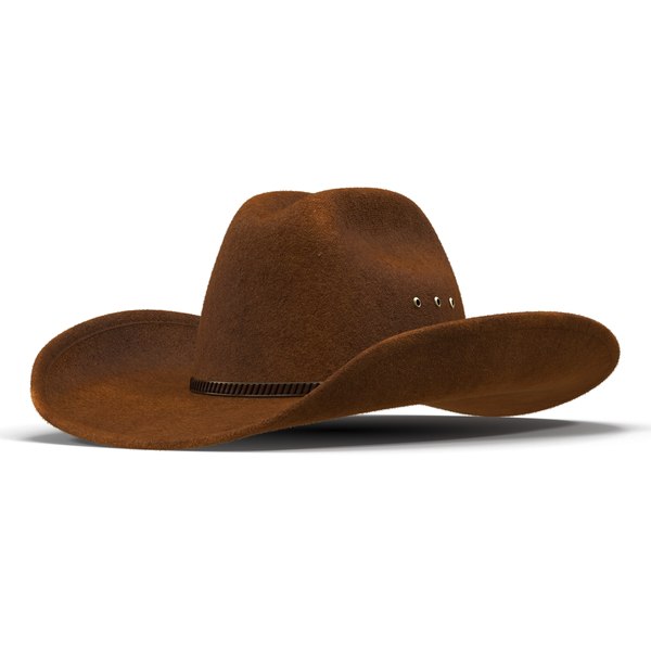 3d cowboy hat