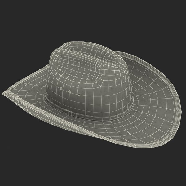 3d cowboy hat