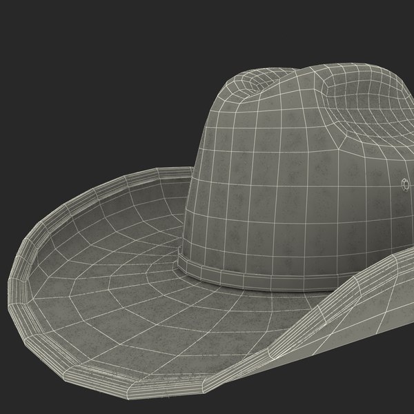 3d cowboy hat