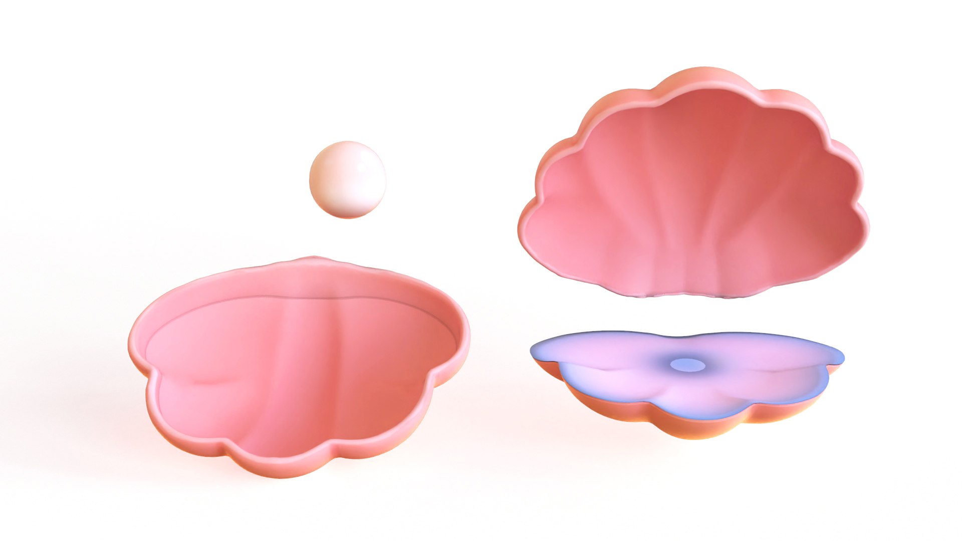 Open Clam Sea Shell 3D - TurboSquid 2331056