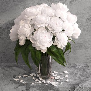 3D giant peonies flowers model