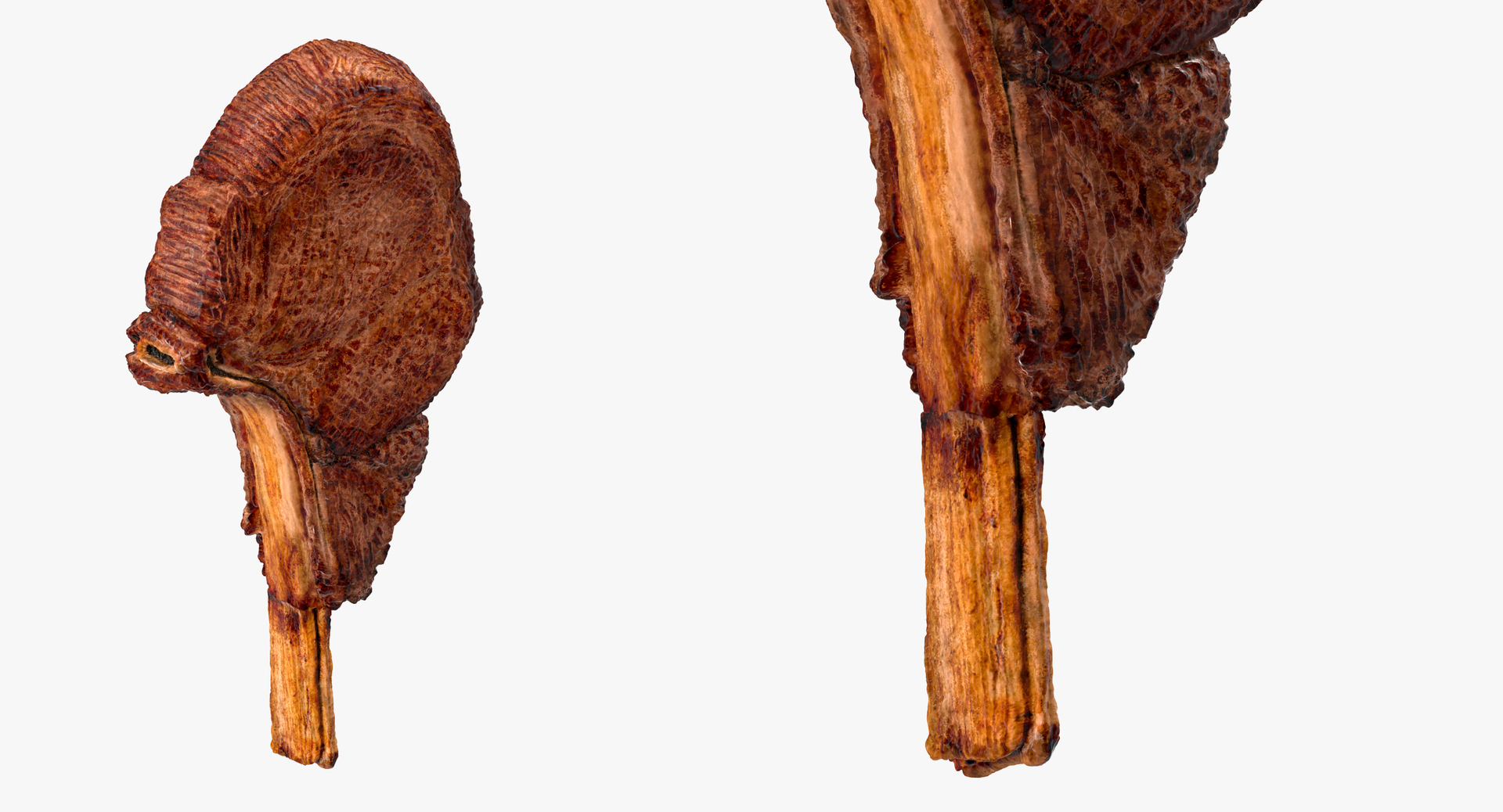 Grilled Lamb Chop Model - TurboSquid 1409506