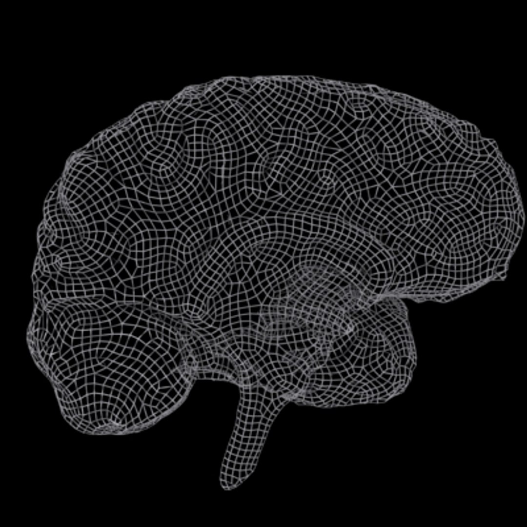 3d brain https://p.turbosquid.com/ts-thumb/LC/MsahUj/bwJcAQmm/9/jpg/1288571680/1920x1080/fit_q87/819e605e69d507adb891f399309510eea559ed0f/9.jpg