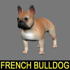 lwo french bulldog