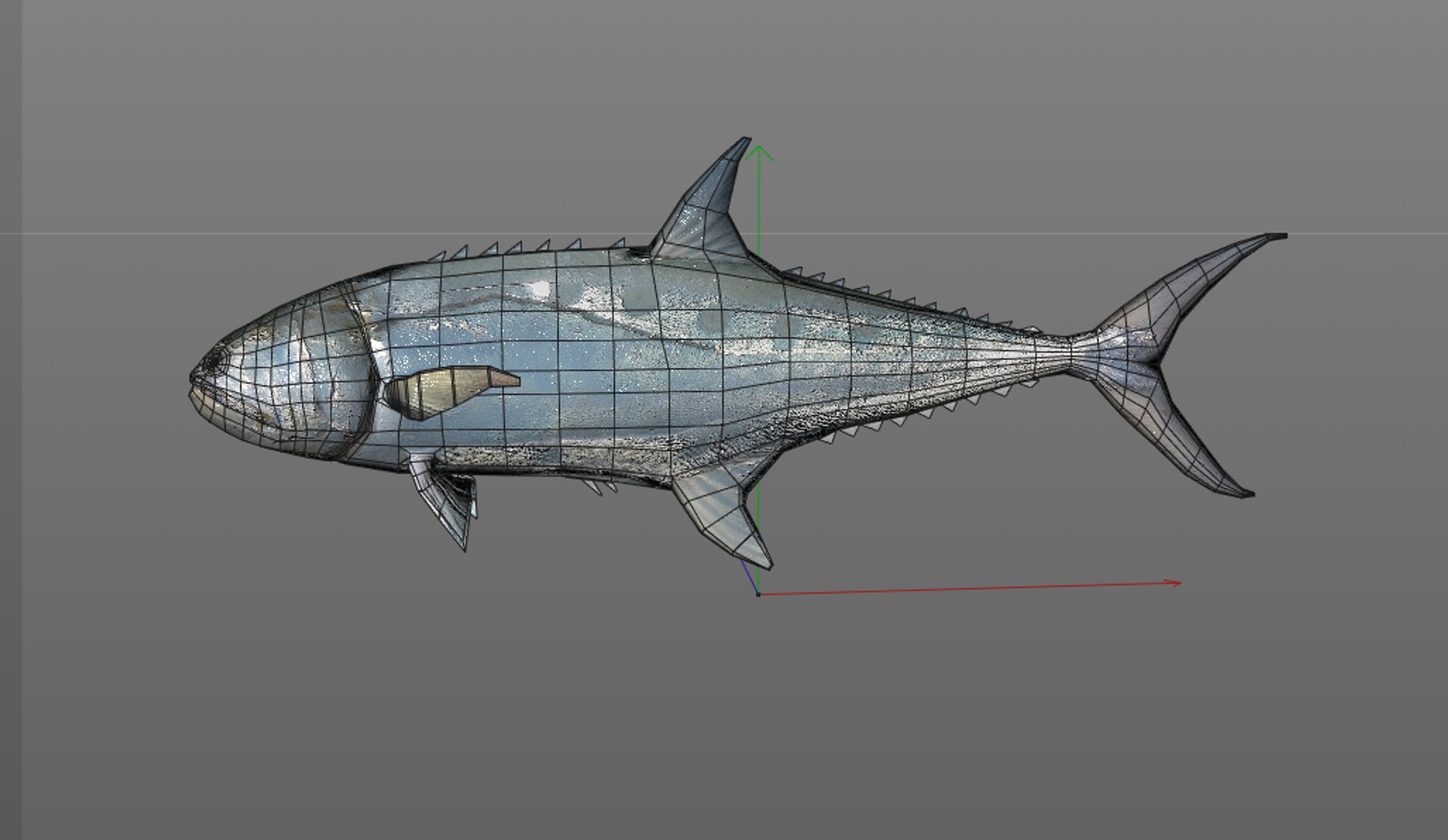 Fish 3D Model - TurboSquid 1551922