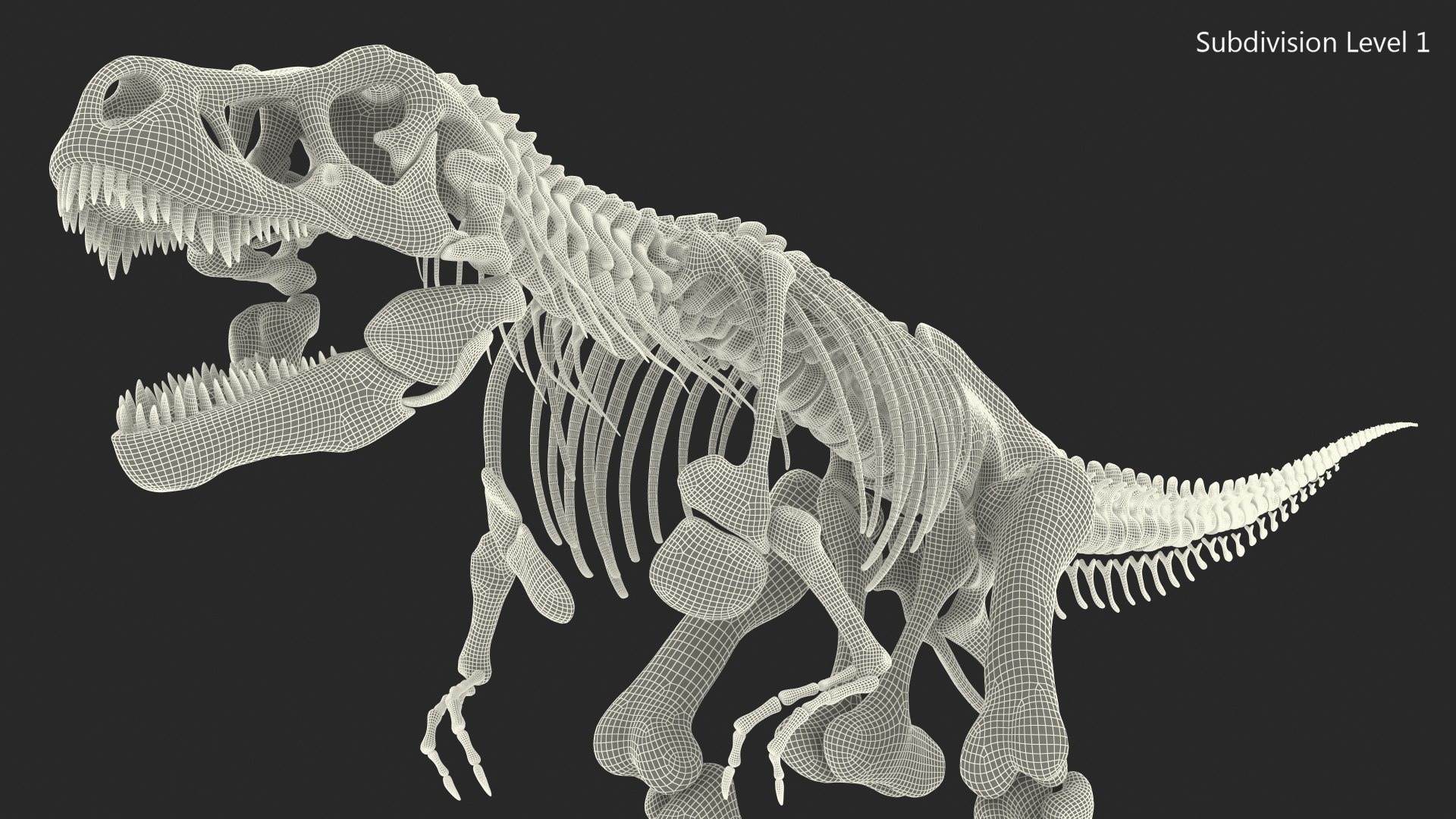 Dinosaur Skeletons Rigged for Maya Collection 3D model https://p.turbosquid.com/ts-thumb/LC/ZdHKiW/Cj/rigged_dinosaur_skeletons_collection_for_maya_035/jpg/1767956422/1920x1080/fit_q87/9783078f9f722e1fd0f197a0fa5cda67e98364c5/rigged_dinosaur_skeletons_collection_for_maya_035.jpg