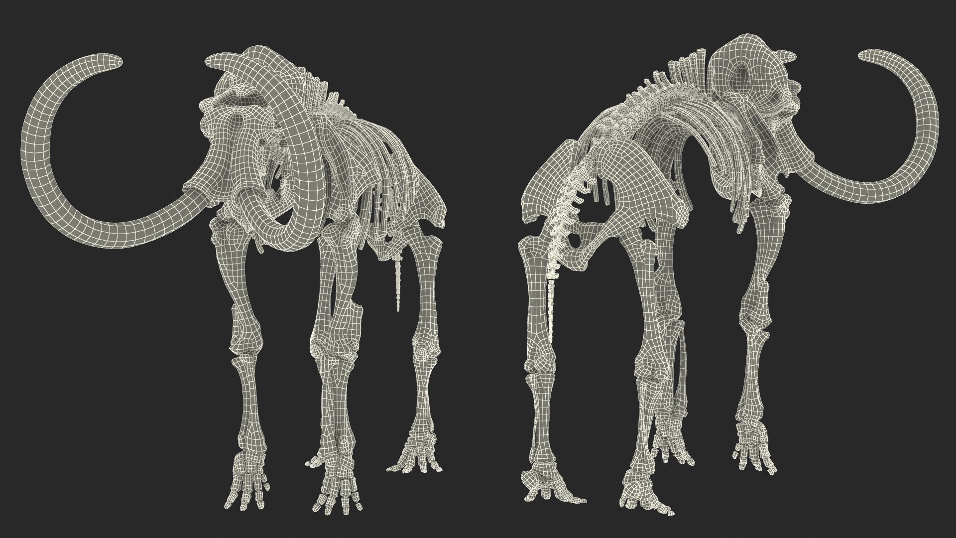 Dinosaur Skeletons Rigged for Maya Collection 3D model https://p.turbosquid.com/ts-thumb/LC/ZdHKiW/Yz/rigged_dinosaur_skeletons_collection_for_maya_013/jpg/1767956411/1920x1080/fit_q87/a29624b6053b96c9c7cf7c703ed3a0af89434512/rigged_dinosaur_skeletons_collection_for_maya_013.jpg
