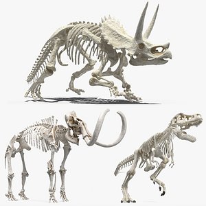 Dinosaur Skeletons Rigged for Maya Collection