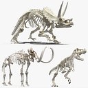 Dinosaur Skeletons Rigged for Maya Collection