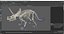 Dinosaur Skeletons Rigged for Maya Collection