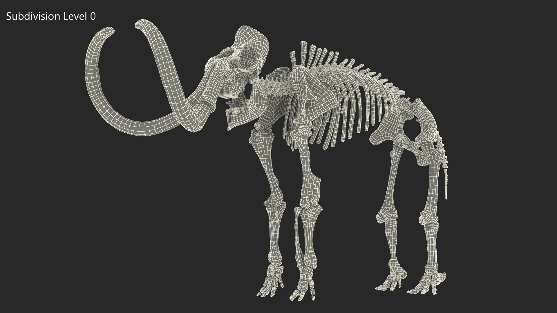 Dinosaur Skeletons Rigged for Maya Collection 3D model https://p.turbosquid.com/ts-thumb/LC/ZdHKiW/wD/rigged_dinosaur_skeletons_collection_for_maya_010/jpg/1767956409/1920x1080/fit_q87/794aba0c99e9ec0a0dc1e70092ee0b9e8cf0df05/rigged_dinosaur_skeletons_collection_for_maya_010.jpg