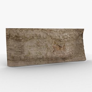 Cliff 0001 3D model