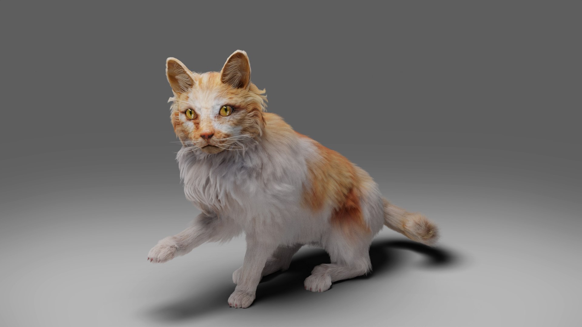 3D Fur Cat Calico V02 Rigged and Animated model - TurboSquid 1981428