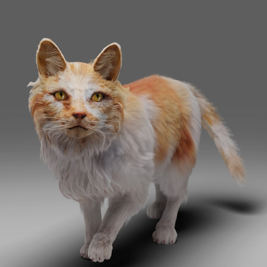 3D Fur Cat Calico V02 Rigged and Animated model - TurboSquid 1981428