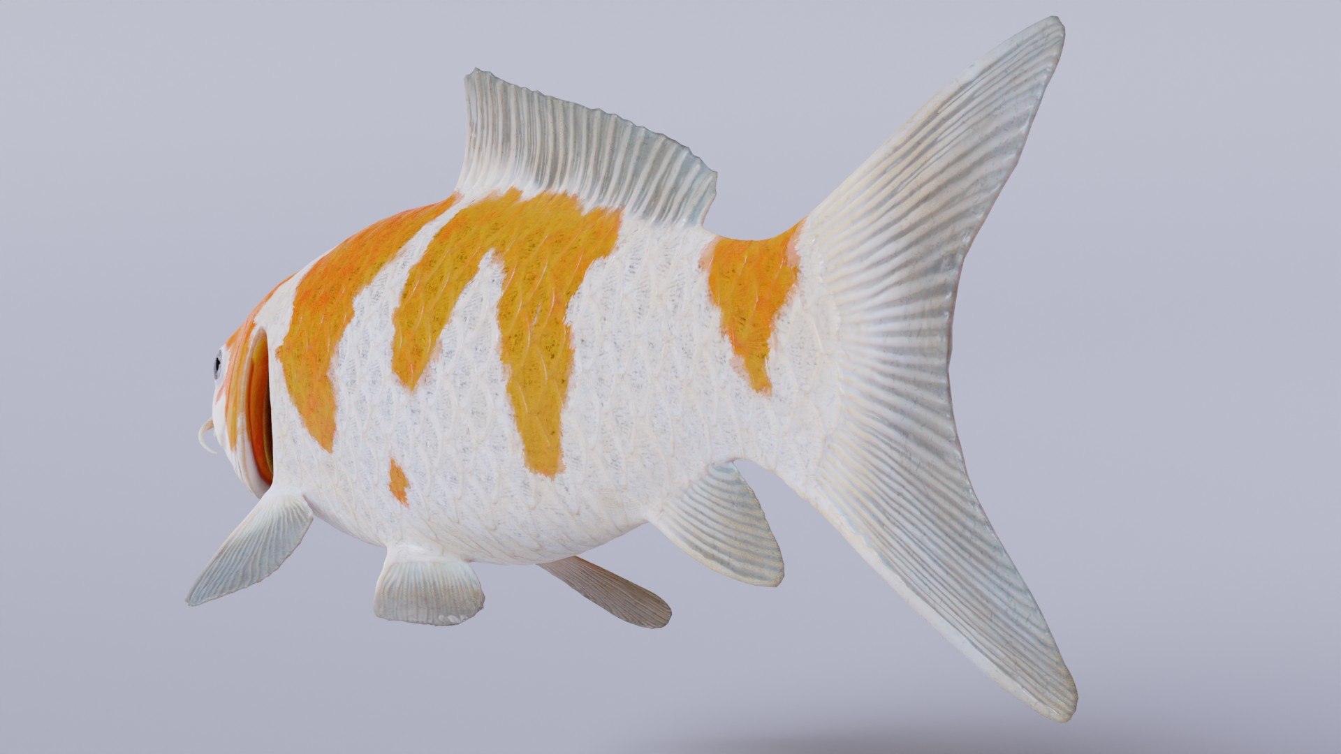 Koi Carp Ochiba 3D model https://p.turbosquid.com/ts-thumb/LC/pB0cTf/Ob/showcaseimage5/jpg/1641390056/1920x1080/fit_q87/68f4d71c5eab6ad227682e70001901034517e420/showcaseimage5.jpg