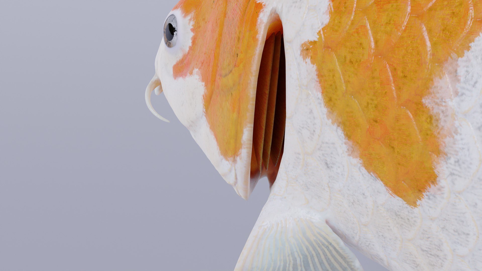 Koi Carp Ochiba 3D model https://p.turbosquid.com/ts-thumb/LC/pB0cTf/QB/showcaseimage4/jpg/1641390055/1920x1080/fit_q87/56164cf088013d041a7da6e6de07fafabba5ec18/showcaseimage4.jpg