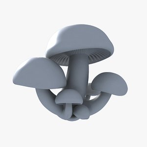 Elm Leech Mushroom