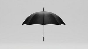 Umbrella