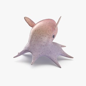 Dumbo Octopus