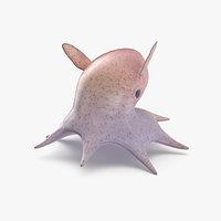 Dumbo Octopus