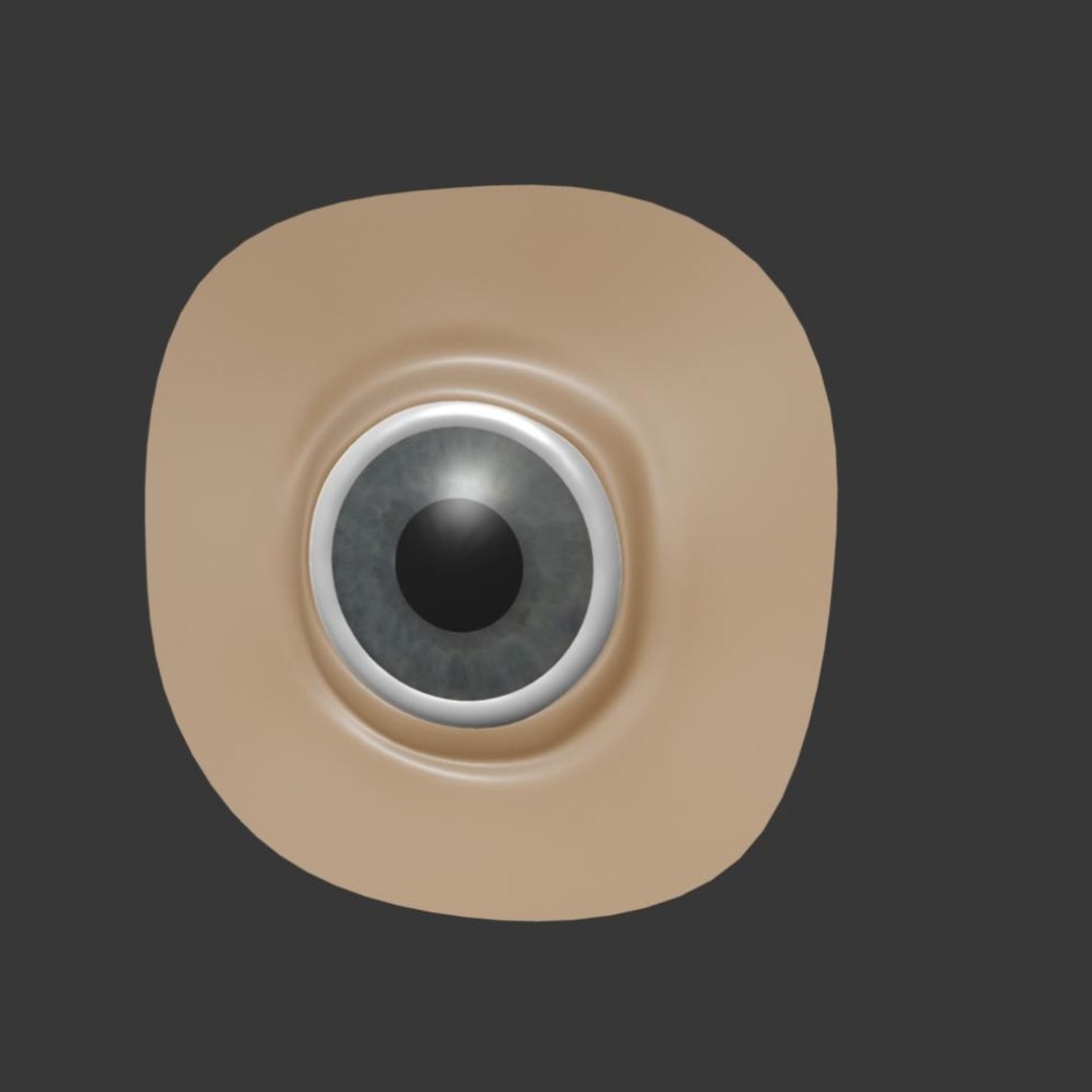 eye rigged 3d model