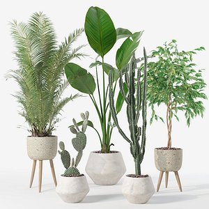 Plants collection 119 3D model