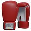 Gants de boxe