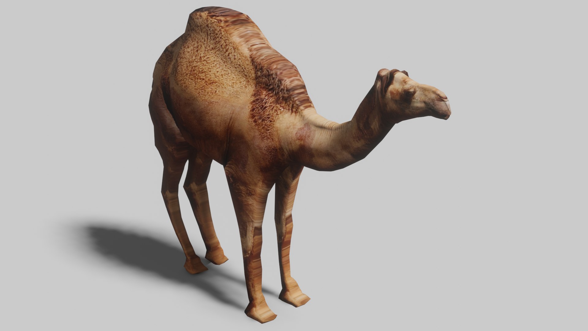Camel OBJ 3D model https://p.turbosquid.com/ts-thumb/LD/GyW3Vv/W6/2/png/1681079861/1920x1080/fit_q87/c0af4dc4d268ec3be89552d6743fc7e9a16dff7e/2.jpg
