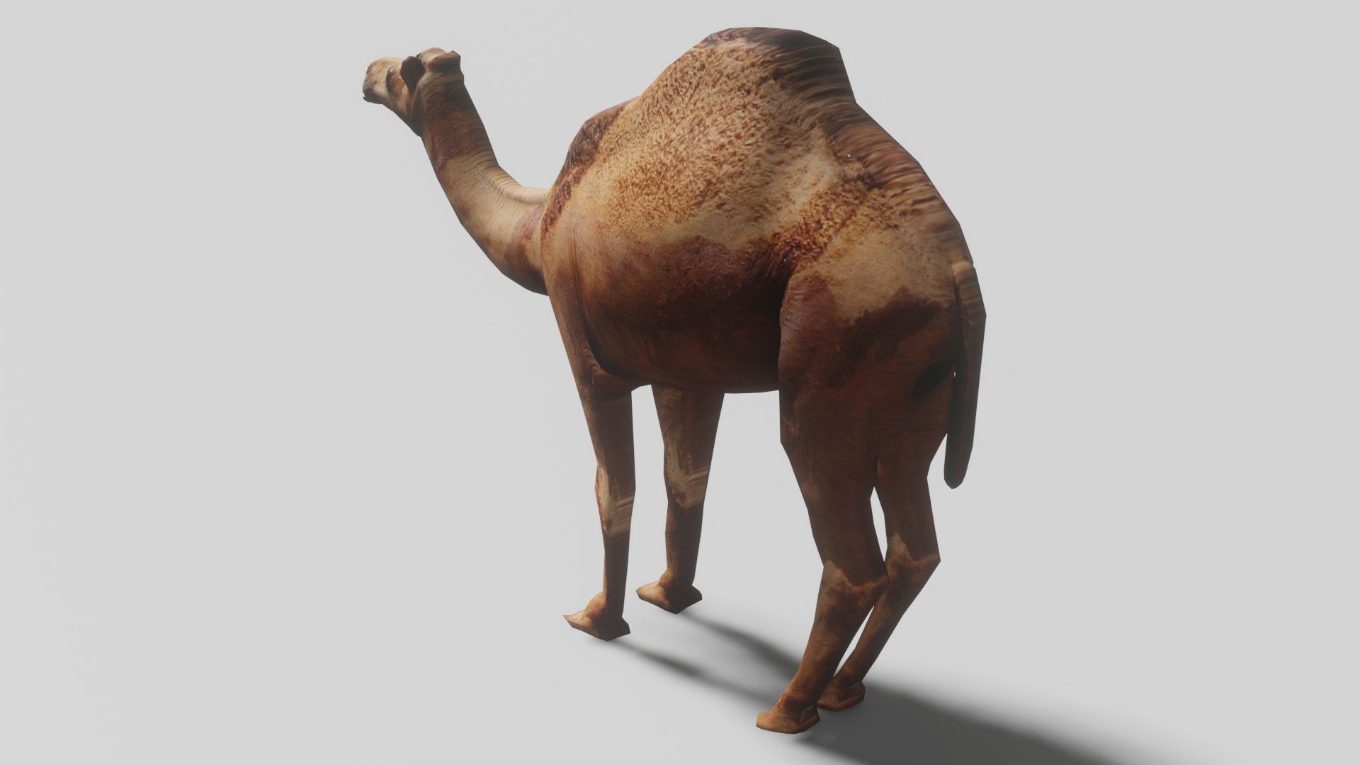 Camel OBJ 3D model https://p.turbosquid.com/ts-thumb/LD/GyW3Vv/eX/4/png/1681079862/1920x1080/fit_q87/387f8549304695d460f9876c7139df224878d795/4.jpg