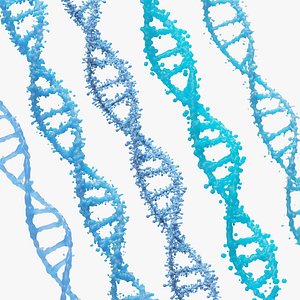 DNA Genetic Molecule