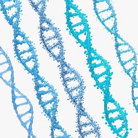 DNA Genetic Molecule