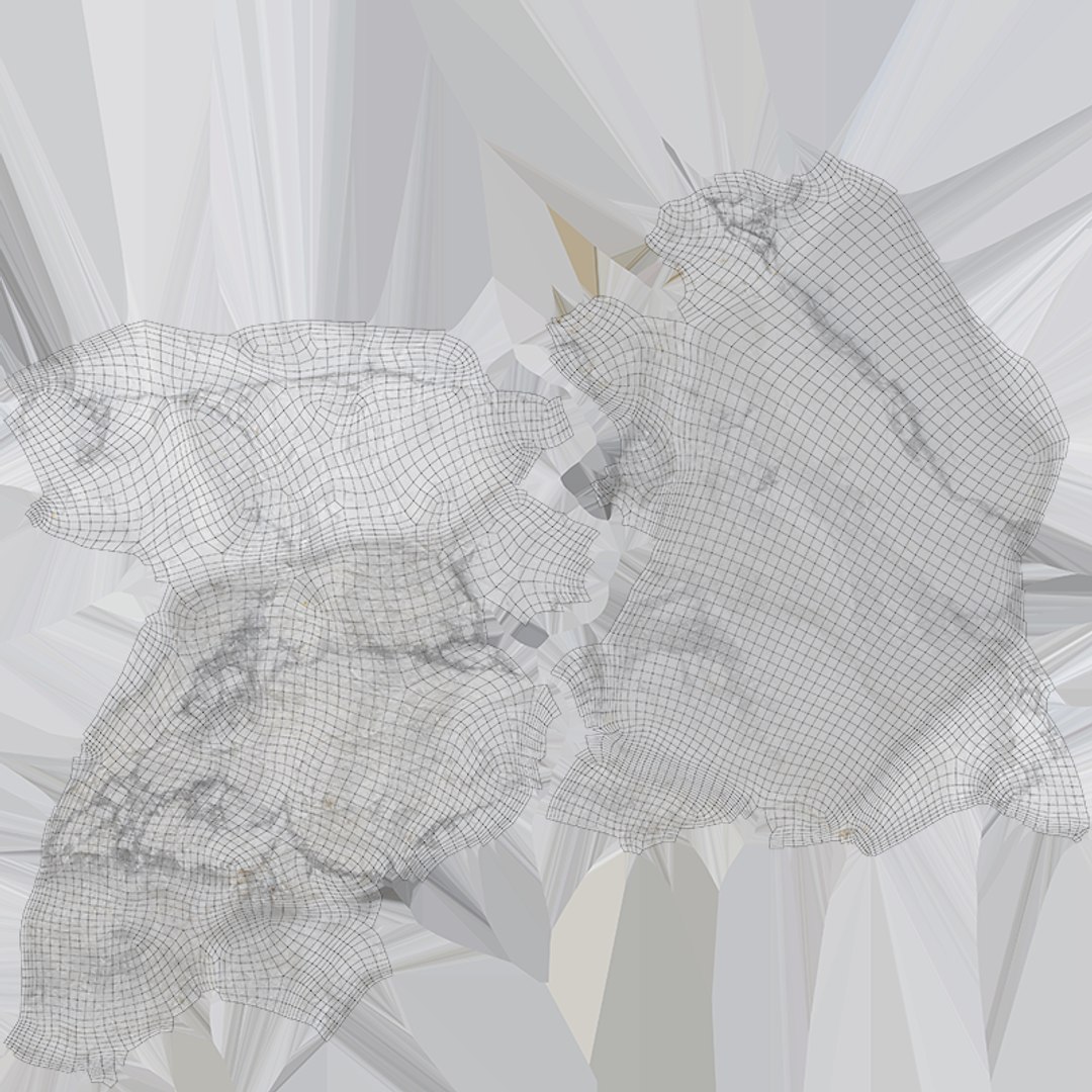 White Turquoise Collection 3D https://p.turbosquid.com/ts-thumb/LD/Ovs1qN/bP/turquoisewhite02_c0004/png/1757678238/1920x1080/fit_q87/b786b37b8e704d3b175e98aae59c380cd357cbe6/turquoisewhite02_c0004.jpg
