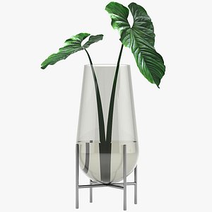 3D model anthurium vase decoration