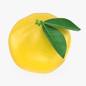 3D Whole Grapefruit Yellow