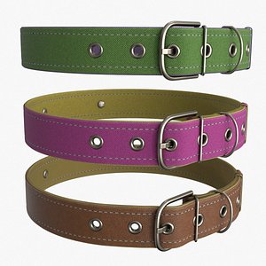 Dog Collar 3D