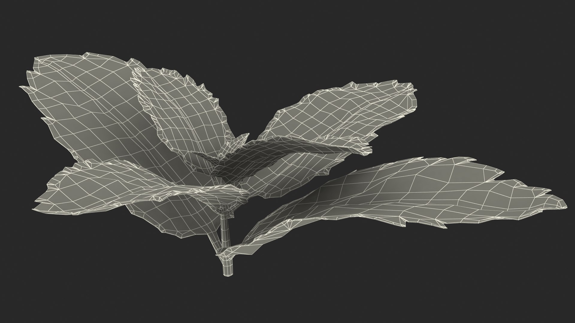 leaves 8 3D model https://p.turbosquid.com/ts-thumb/LD/qROdrH/93R0NSy1/leavescollection8vray3dmodel068/jpg/1600069081/1920x1080/fit_q87/4cf8e3c451cb56863455dc521d2a413985e59b5c/leavescollection8vray3dmodel068.jpg