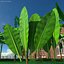 leaves 8 3D model