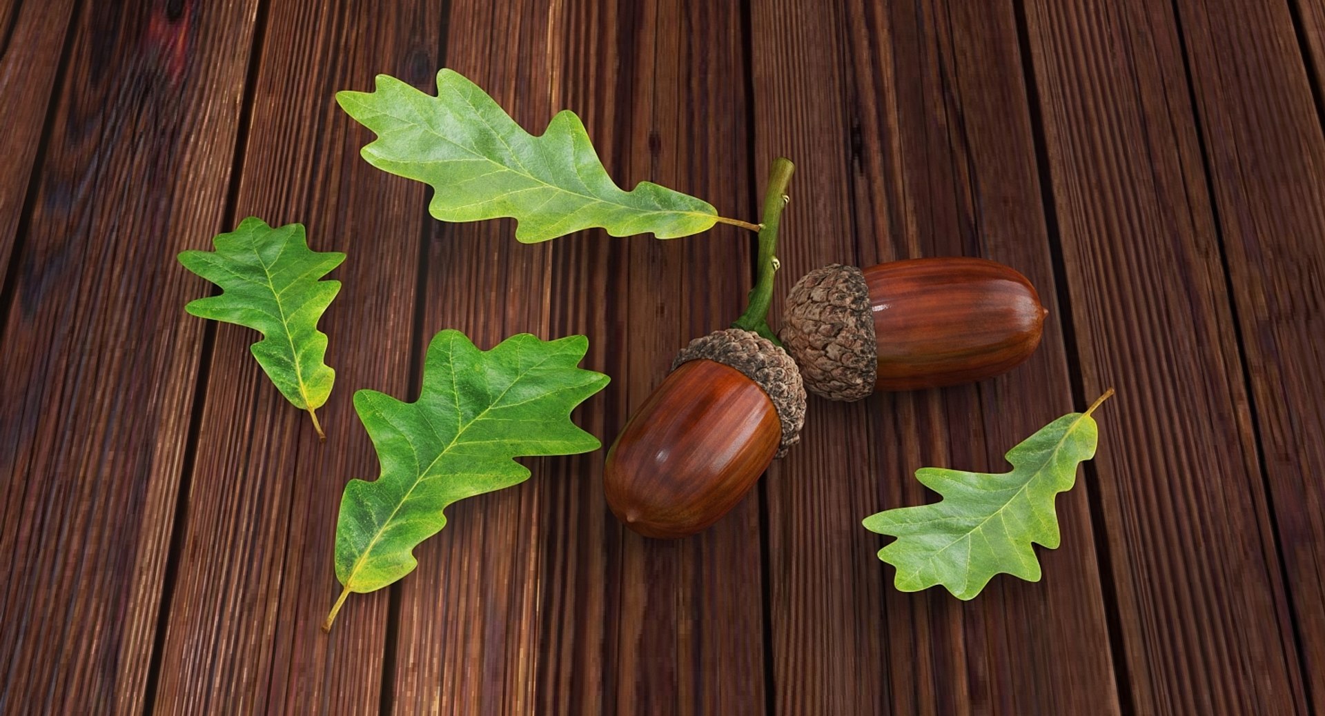 leaves 8 3D model https://p.turbosquid.com/ts-thumb/LD/qROdrH/WcNilvZE/leavescollection8vray3dmodel045/jpg/1600069022/1920x1080/fit_q87/0d6c7b35010ac01d53013c9ef9675bc6b11090d8/leavescollection8vray3dmodel045.jpg