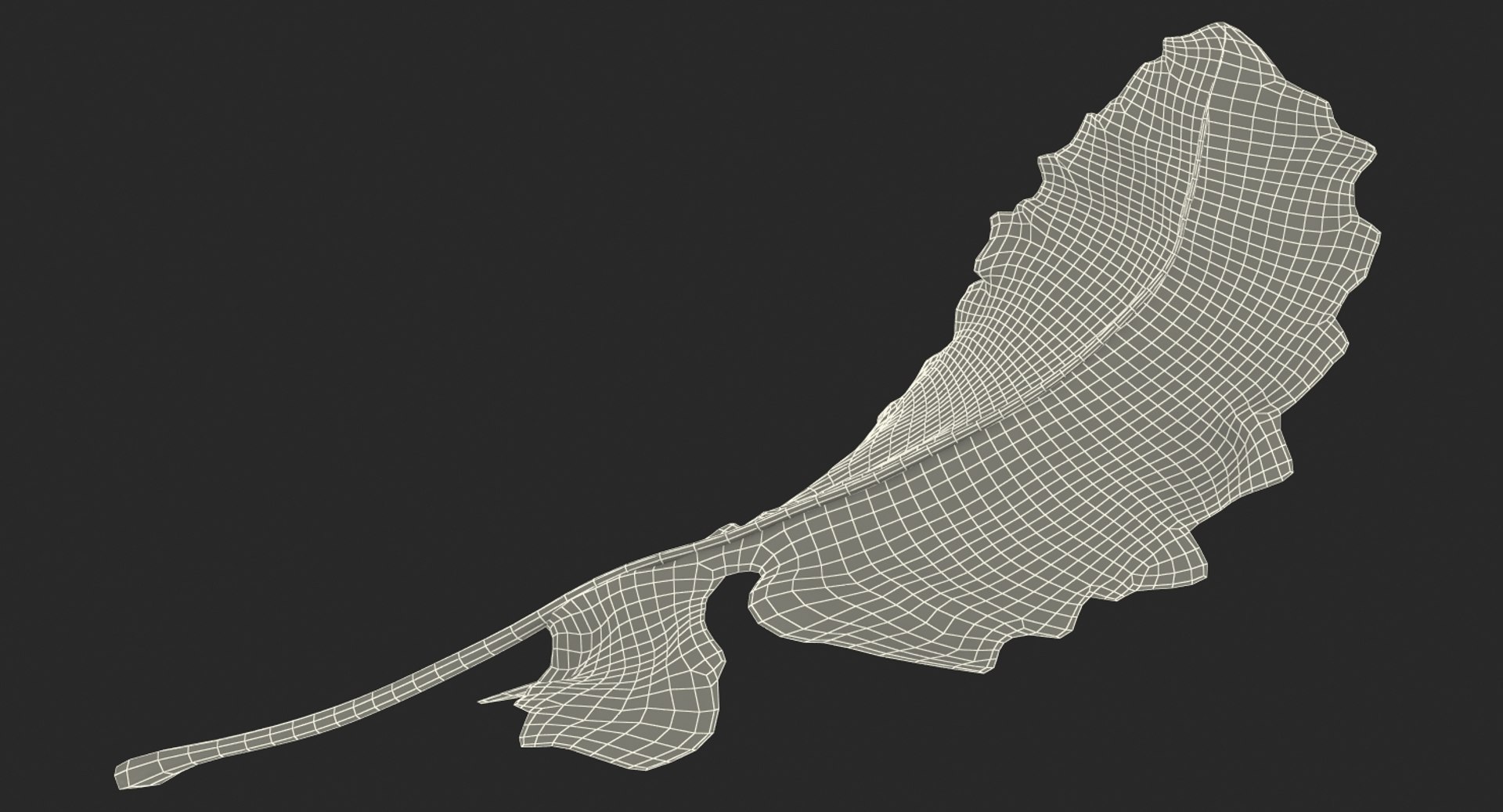 leaves 8 3D model https://p.turbosquid.com/ts-thumb/LD/qROdrH/wLV7hWPY/leavescollection8vray3dmodel073/jpg/1600069094/1920x1080/fit_q87/cf9b49311cf745a5a7fca35c2e3b2845e5249b78/leavescollection8vray3dmodel073.jpg