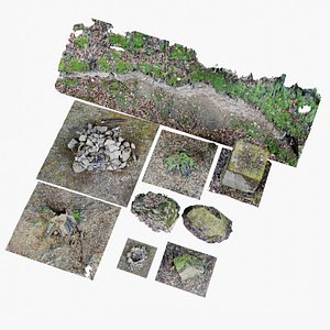 3D 9 Forest Asset - Stones - Stunps - Campfires Photoscanned