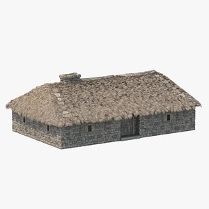 Iron Age House 04 3D model
