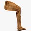 Prosthetic Leg 3
