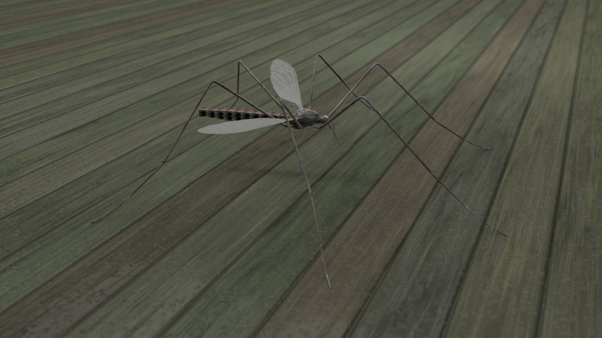 Mosquito Insect 3D Model - TurboSquid 1367252