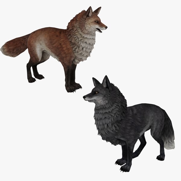 3D-Fuchs 3D-Modell - TurboSquid 1882351