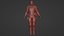 Personaggio 3D in tuta tattica da agente stealth maschile