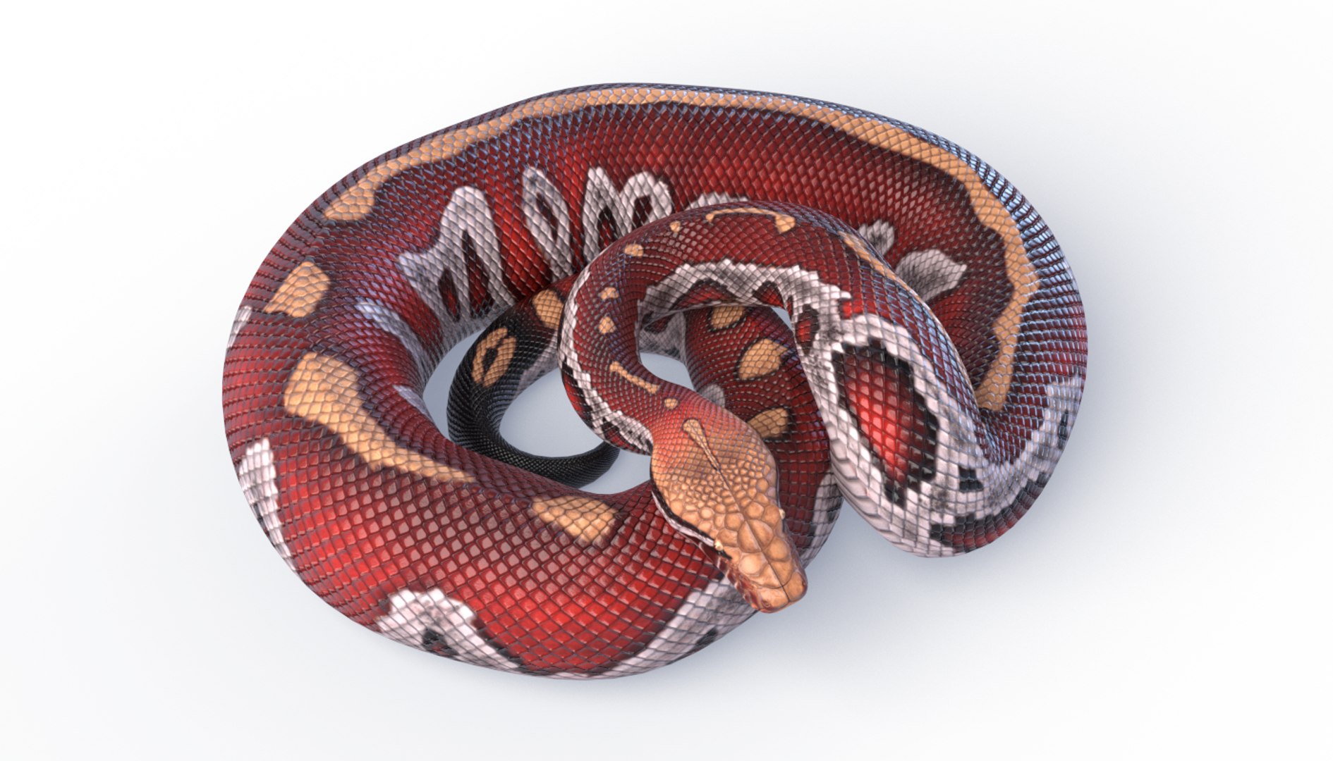 3D Animated Pythons Volume 2 - TurboSquid 1820397