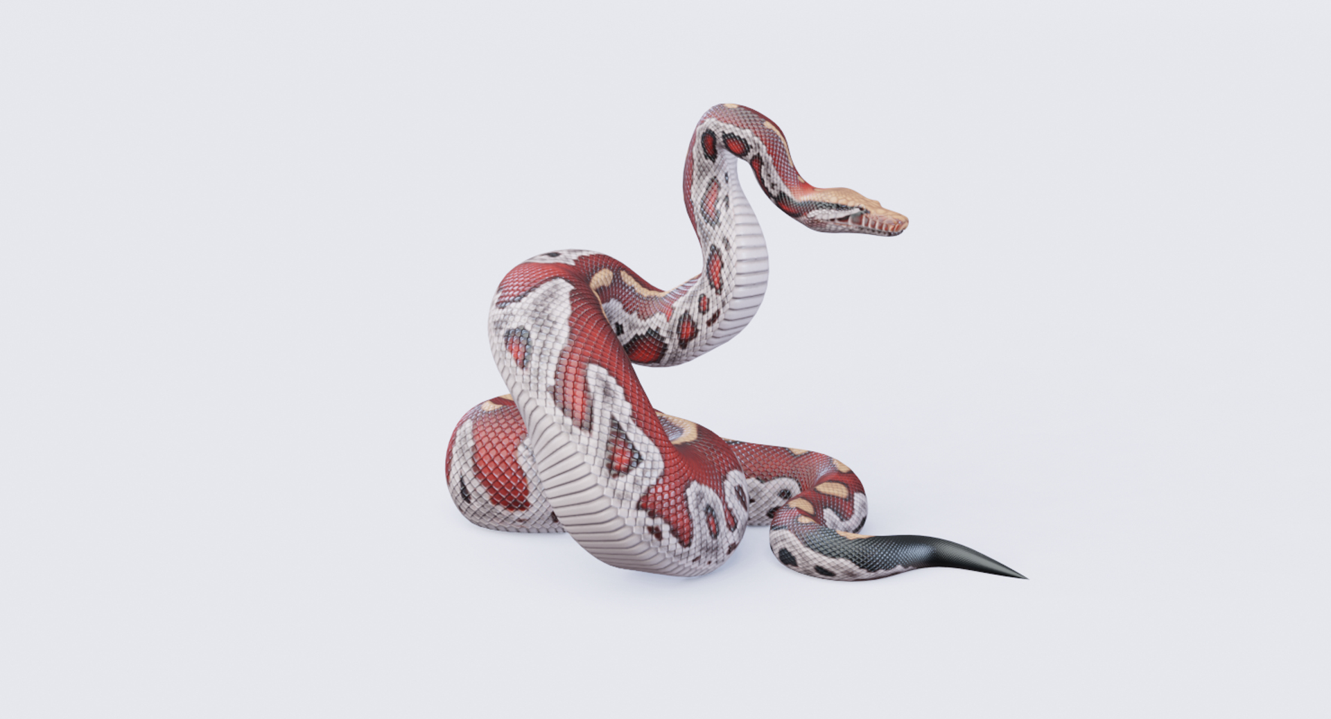 3D Animated Pythons Volume 2 - TurboSquid 1820397
