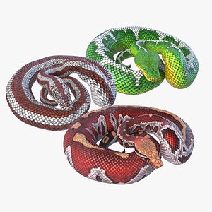 3D Animated Pythons Volume 2