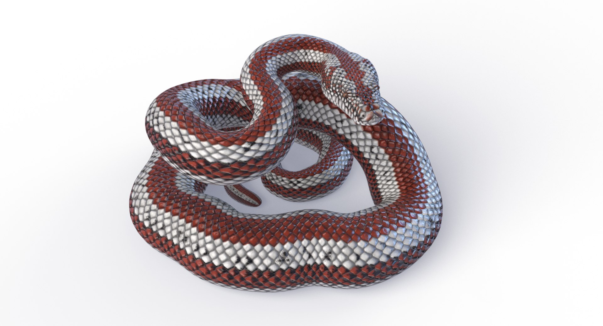 3D Animated Pythons Volume 2 - TurboSquid 1820397