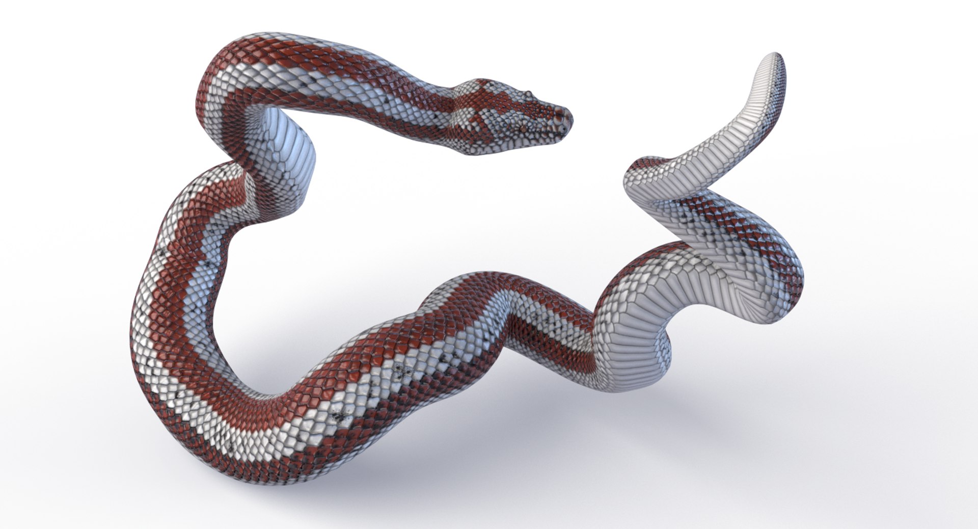 3D Animated Pythons Volume 2 - TurboSquid 1820397